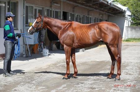 ナランフレグ　評価Ｃ