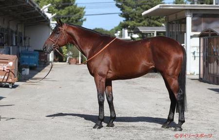 カフェファラオ　評価Ｂ