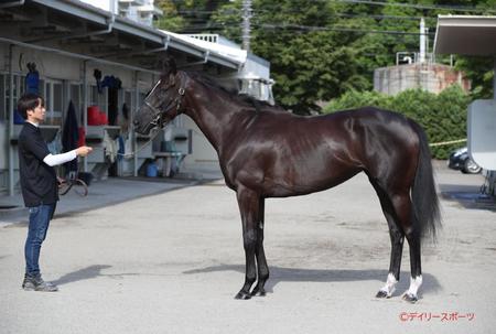 ソングライン　評価Ｂ