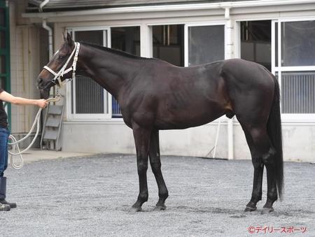 ディープボンド　評価Ｂ