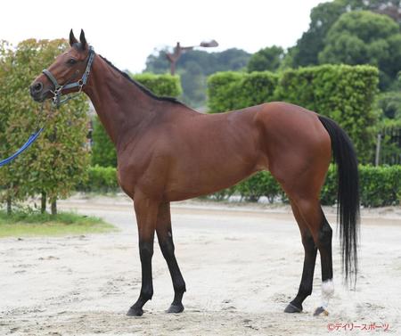 スルーセブンシーズ　評価Ｃ