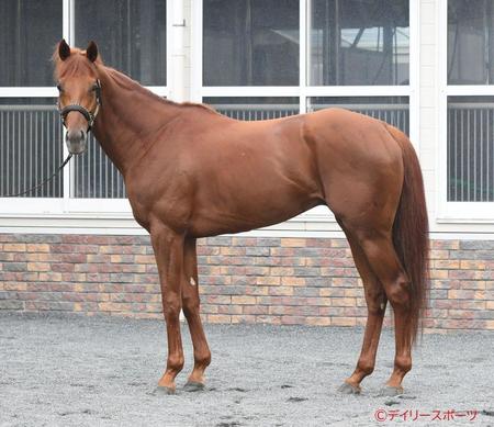 ミクソロジー　評価Ｂ