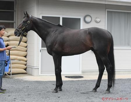 カラテ　評価Ｂ