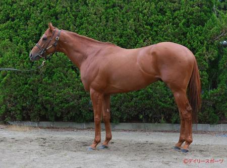 ジオグリフ　評価Ｃ