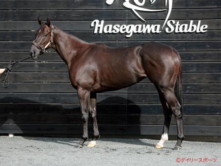 ナムラクレア　評価Ａ