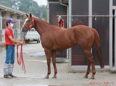 ジャスパークローネ　評価Ｂ