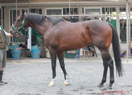 ピクシーナイト　評価Ｃ