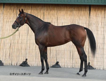 オールアットワンス　評価Ｃ