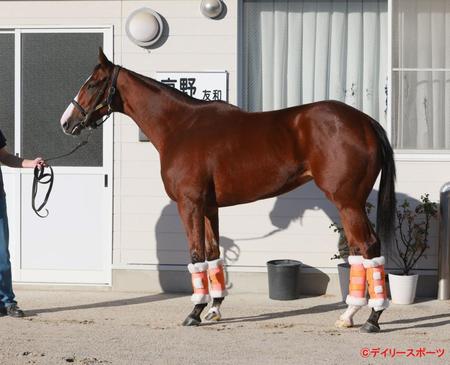 ナミュール　評価Ｂ