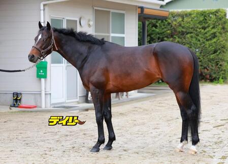 シュヴァリエローズ