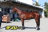 サトノカルナバル