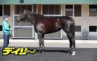 アスコリピチェーノ