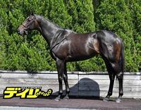 クイーンズウォーク
