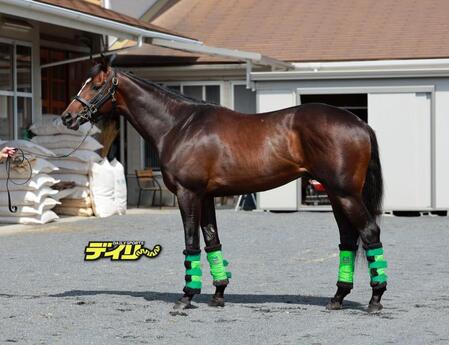 サトノシャイニング　評価　Ａ