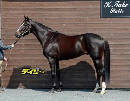 リラエンブレム　評価　Ｃ