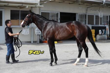 ニシノエージェント　評価　Ｃ