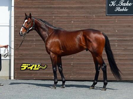 マイユニバース　評価　Ｂ