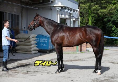 シックスペンス　評価Ｂ