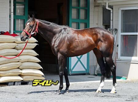 エコロヴァルツ　評価Ｂ