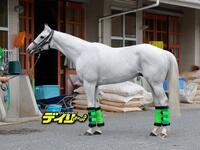 ガイアフォース
