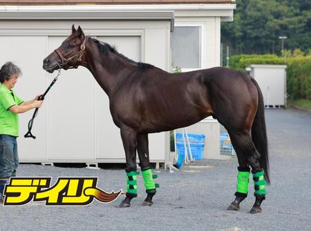 ルガル　評価Ｂ