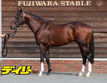 ダノンマッキンリー　評価Ｂ