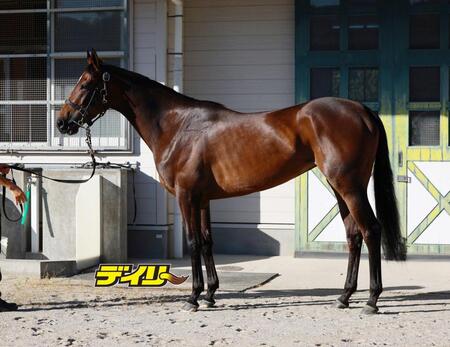 ジョスラン　評価Ａ