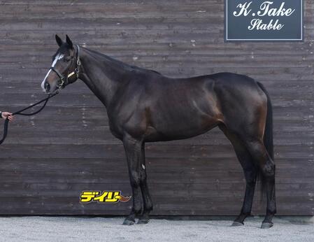 ヴーレヴー　評価Ｃ