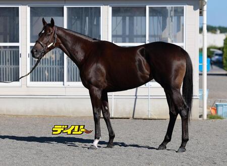 ダノンフェアレディ　評価Ｂ