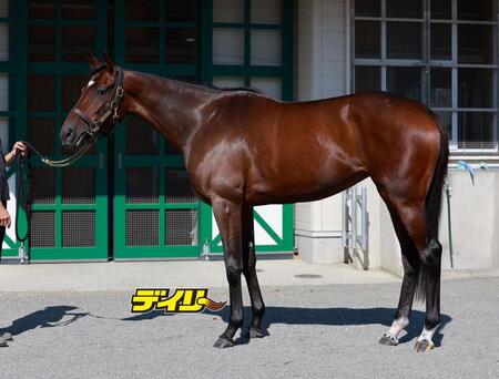 レーゼドラマ　評価Ｃ