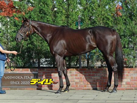 グローリーリンク　評価Ｂ