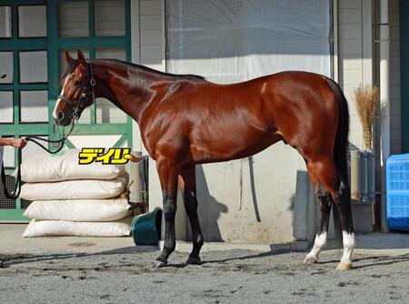 エキサイトバイオ　評価Ｃ