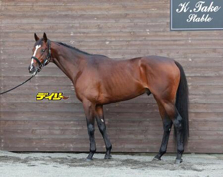 マイユニバース　評価Ｂ