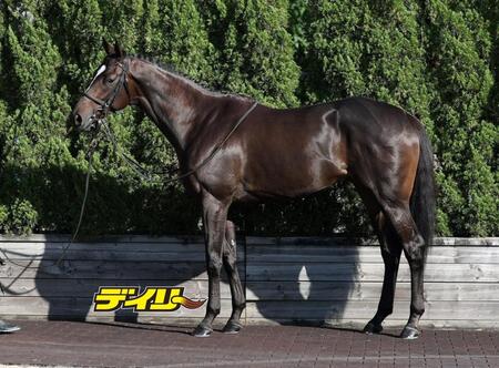 クイーンズウォーク　評価Ｂ