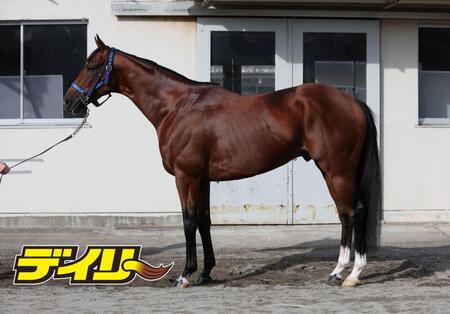 ソールオリエンス　評価Ｃ