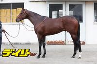 タスティエーラ