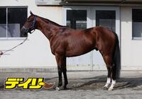 ソールオリエンス