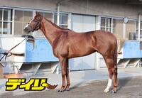 アーバンシック