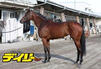 ブレイディヴェーグ