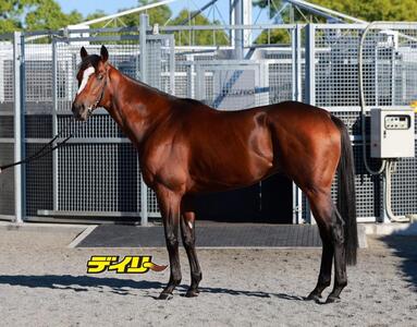 メイショウタバル