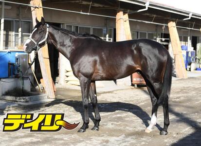 マスカレードボール