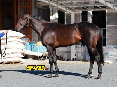 ミュージアムマイル