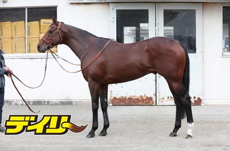 タスティエーラ