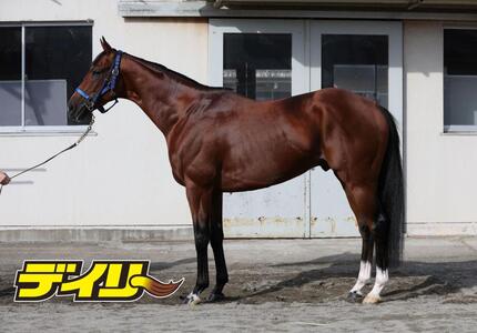 ソールオリエンス