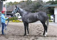 フェアエールング