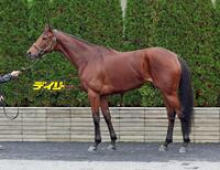 ココナッツブラウン