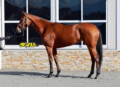 セキトバイースト