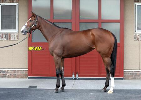 チェルヴィニア　評価Ａ