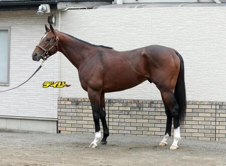 レーベンスティール　評価Ａ