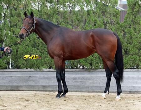 オフトレイル　評価Ｂ